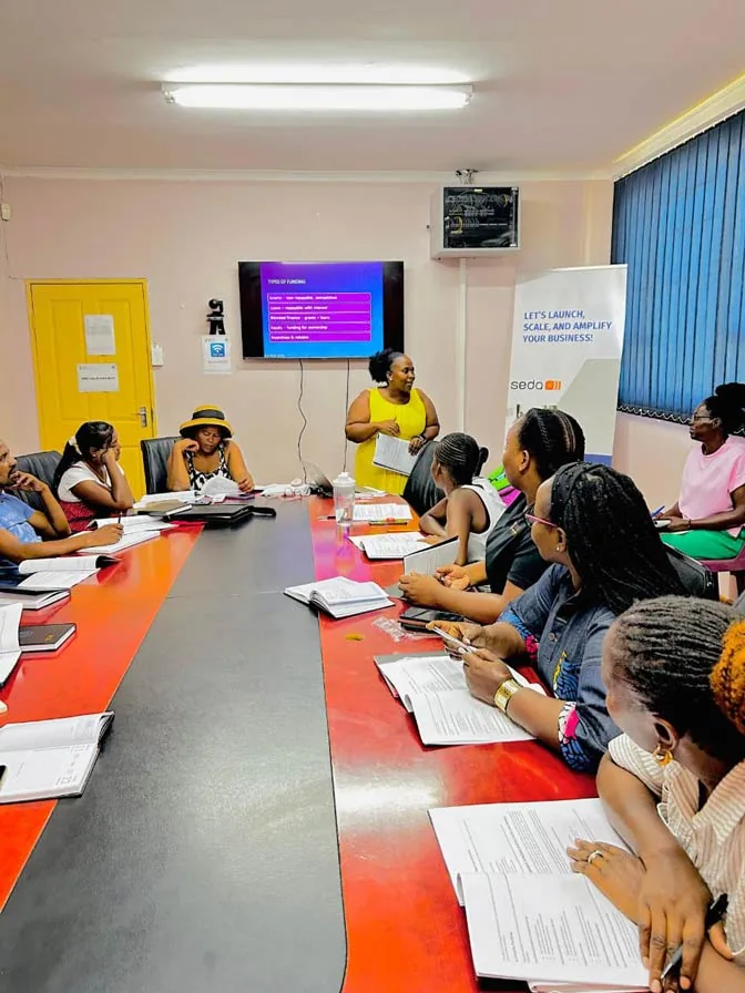 A facilitator presenting a session on types of funding, with a Seda banner alongside